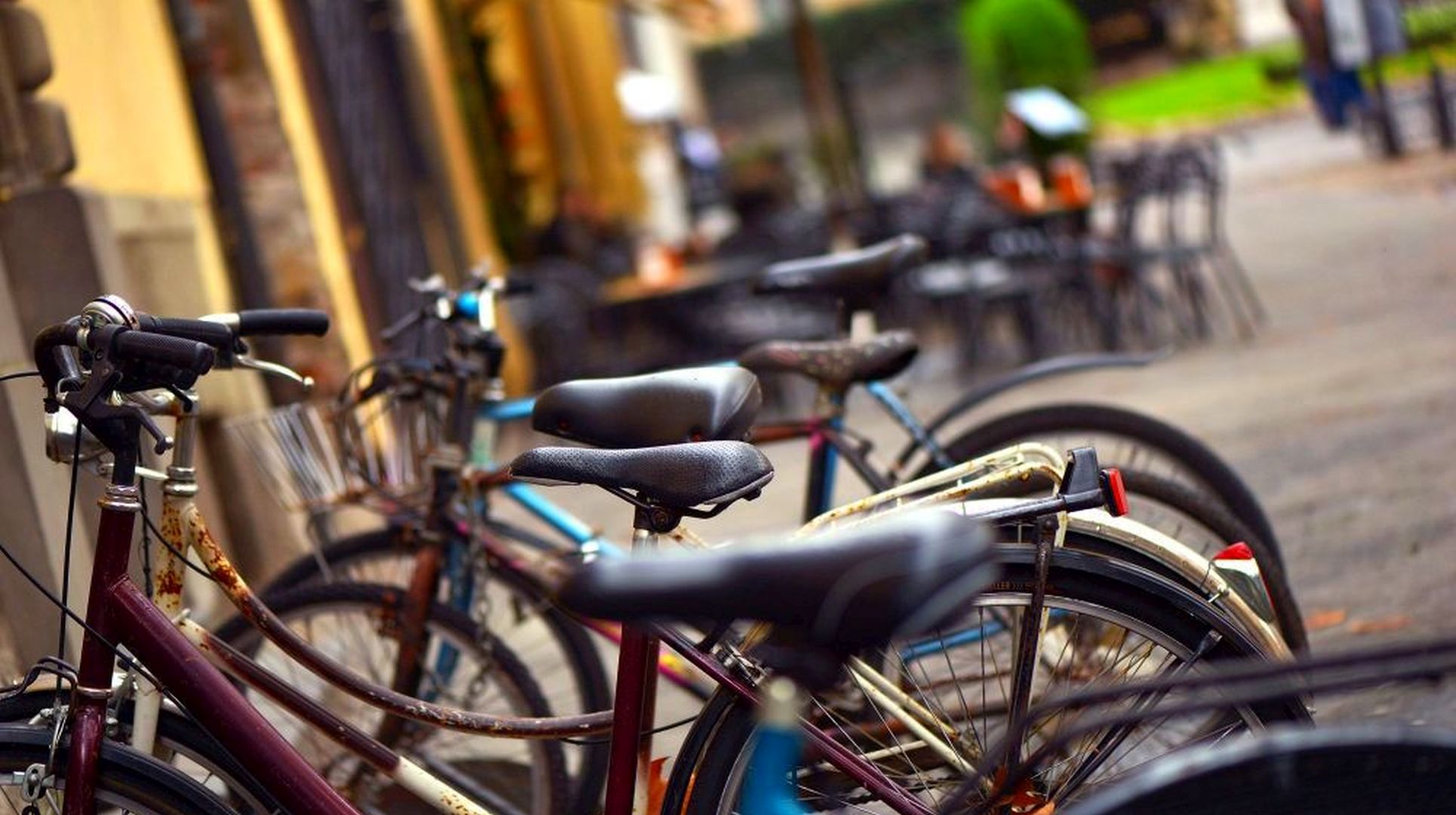 biciclette poli lucca